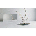 CS-Porcleain Lumena Caesarstone Porcelain