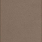 Silestone Noka Silestone 